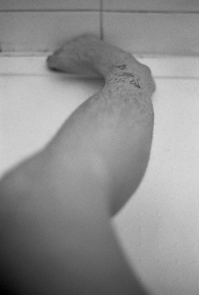 Autoportrait